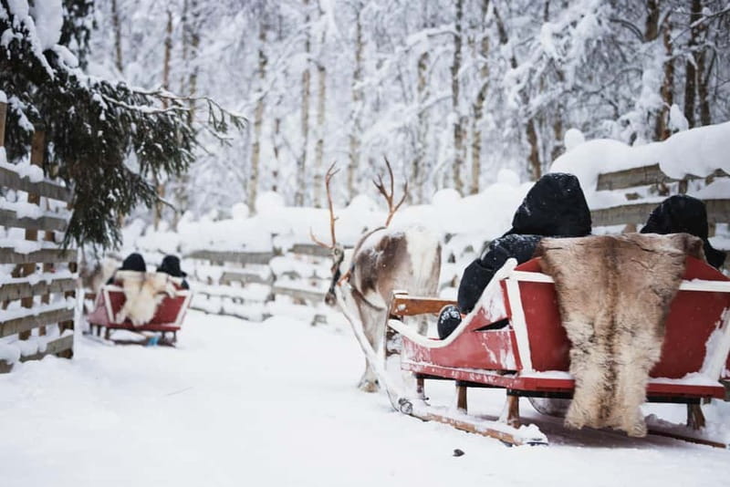 Rovaniemi: Husky Farm and Reindeer Experience - Meeting Lapland’s reindeer herders