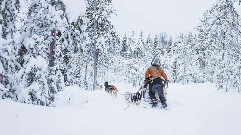 Rovaniemi: Husky & Reindeer Experience with Snowmobile Ride - Preparing for the one-hour snowmobile ride