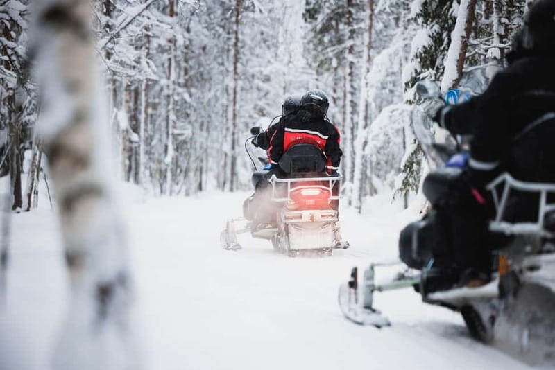 Rovaniemi: Husky & Reindeer Experience with Snowmobile Ride - Meeting the reindeer and taking the 500-meter sleigh ride