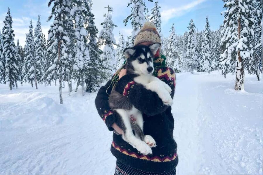 Rovaniemi: Husky Safari & Campfire BBQ – 6‑10 km Self‑Drive - Who should book this husky safari?