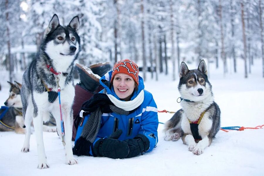 Rovaniemi: Husky Safari on a Snowy Trail - Should you book it?