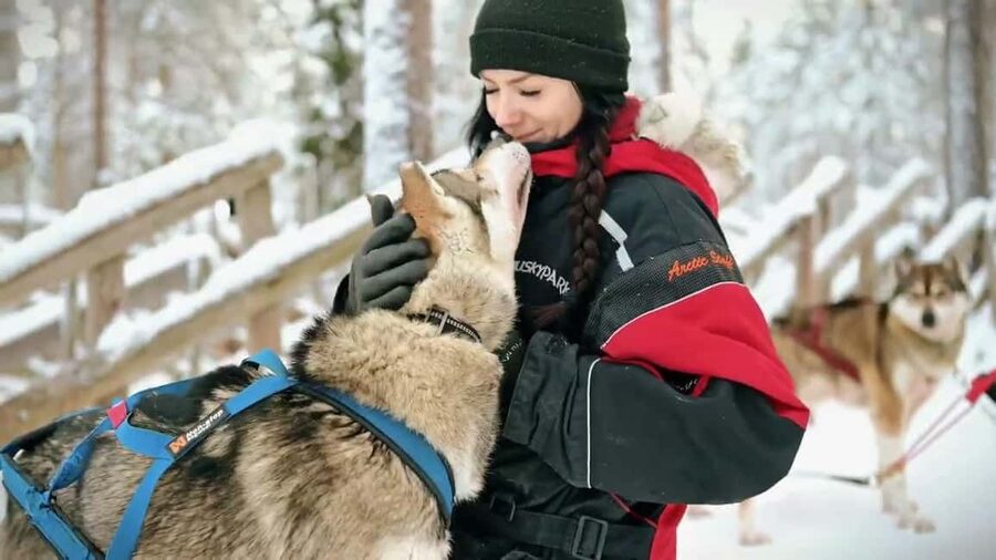 Rovaniemi: Husky Sled Ride and Farm Visit - Warming up with hot juice and cookies