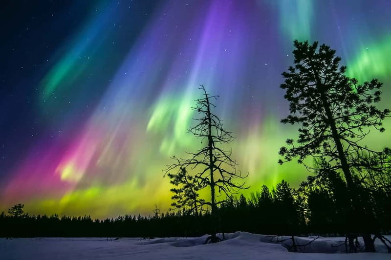 Rovaniemi: Ice Floating in Forest Lake with Aurora Borealis - Key points before you book