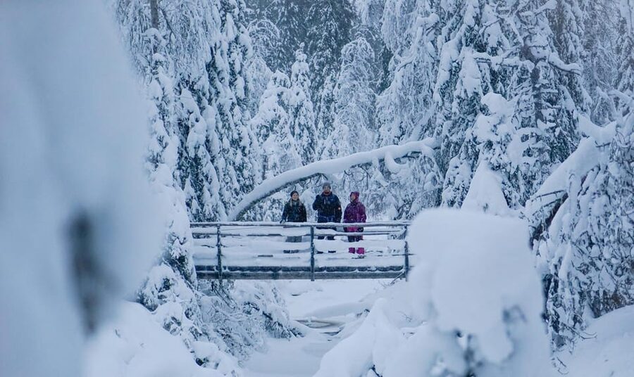 Rovaniemi: Korouoma Canyon Frozen Waterfalls Guided Hike - Is $116 a fair price?