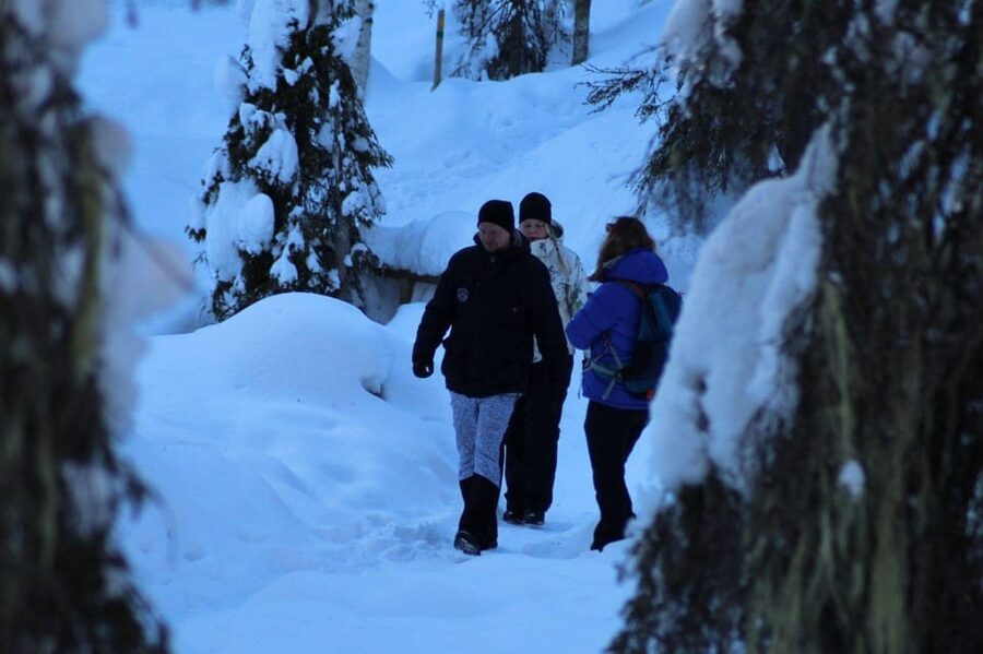 Rovaniemi: Korouoma Canyon Frozen Waterfalls Guided Hike - Who will get the most from this hike?