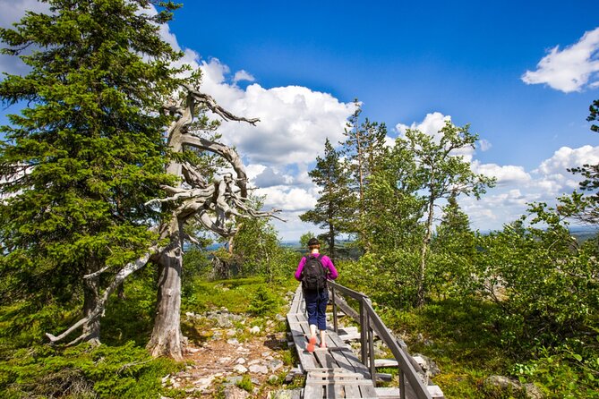 Rovaniemi Korouoma Canyon Hike and Barbecue Experience - Why Korouoma Canyon is worth the long outing