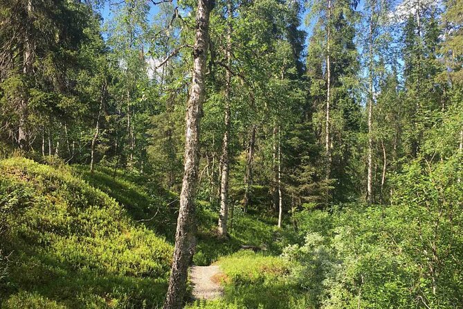 Rovaniemi Korouoma Canyon Hike and Barbecue Experience - Walking through the canyon and snowy forest