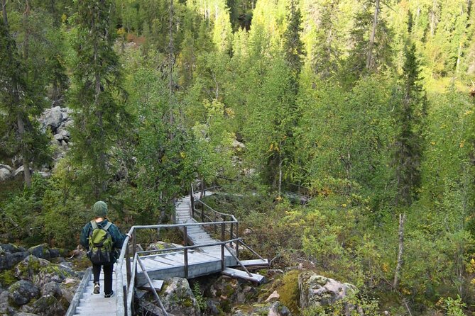 Rovaniemi Korouoma Canyon Hike and Barbecue Experience - The journey from Rovaniemi and the value of pickup