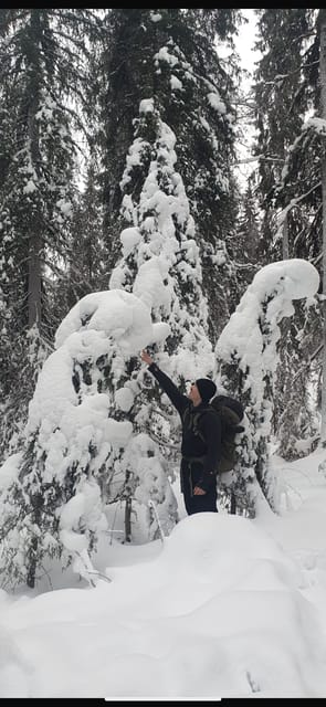 Rovaniemi: Korouoma Frozen Waterfalls Hike & Hot BBQ Lunch - Getting ready for the four-hour hike