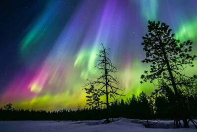 Lakeside Private Sauna with Aurora Borealis