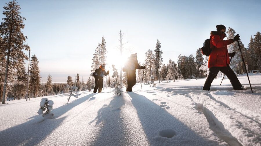 Rovaniemi: Lapland Ski Trekking Safari - What makes this ski trek worth your time