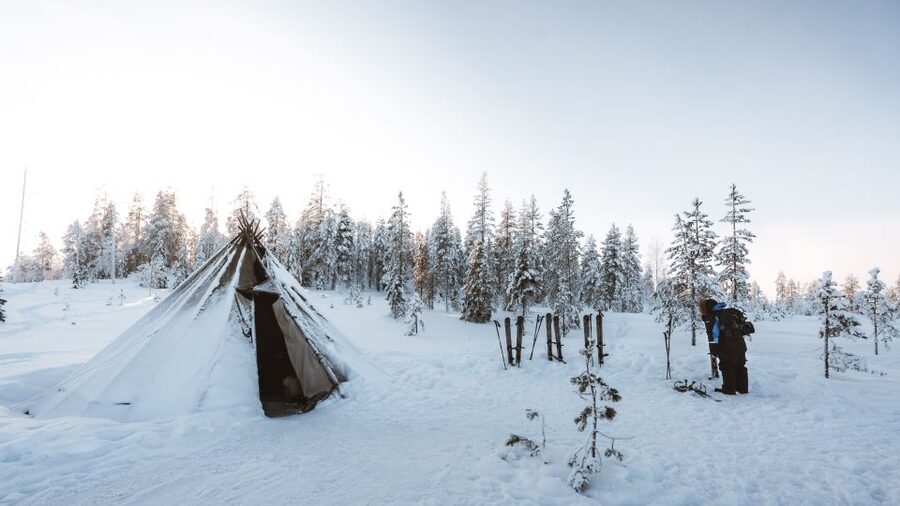 Rovaniemi: Lapland Ski Trekking Safari - Arctic nature along the route