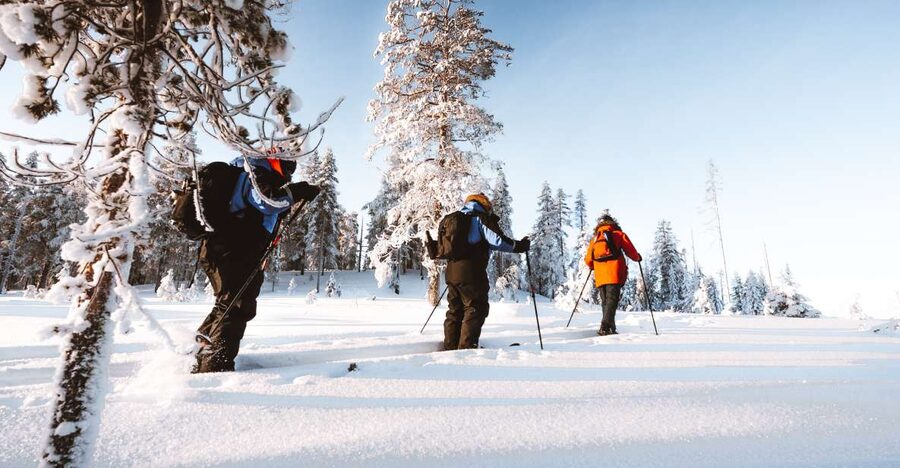 Rovaniemi: Lapland Ski Trekking Safari - Is four hours the right length?