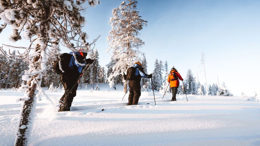 Rovaniemi: Lapland Ski Trekking Safari - Who should book this, and who should skip it?