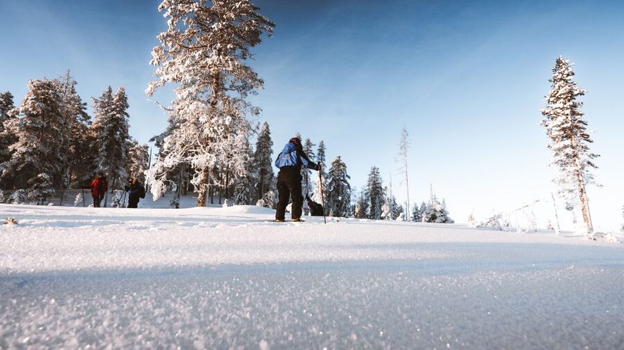 Rovaniemi: Lapland Ski Trekking Safari - Learning to move on skis in fresh snow
