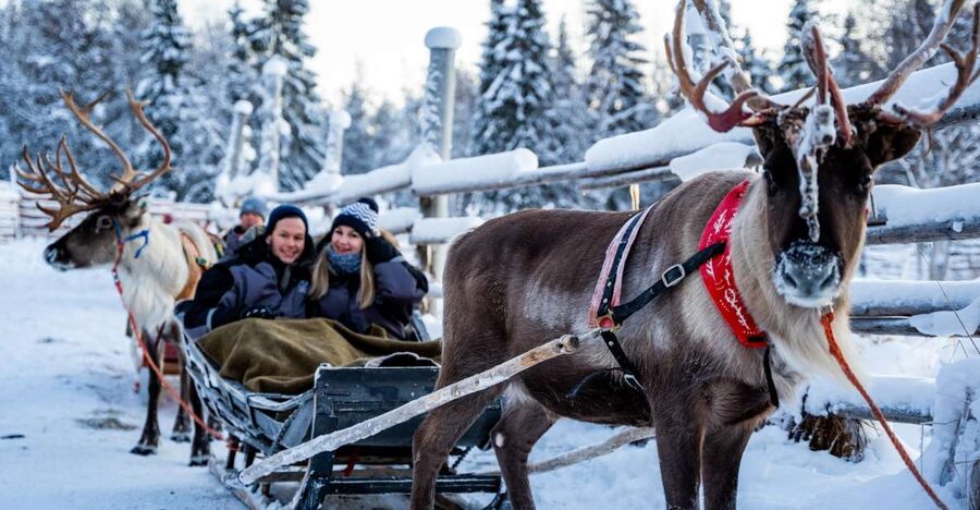 Rovaniemi: Local Reindeer Farm Visit with Sleigh Ride - What the 2-kilometer sleigh ride is really like