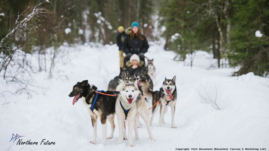 Rovaniemi: Meet Santa Claus, Reindeer Sleigh Ride & Huskies - Santa Claus Village in one well-planned morning
