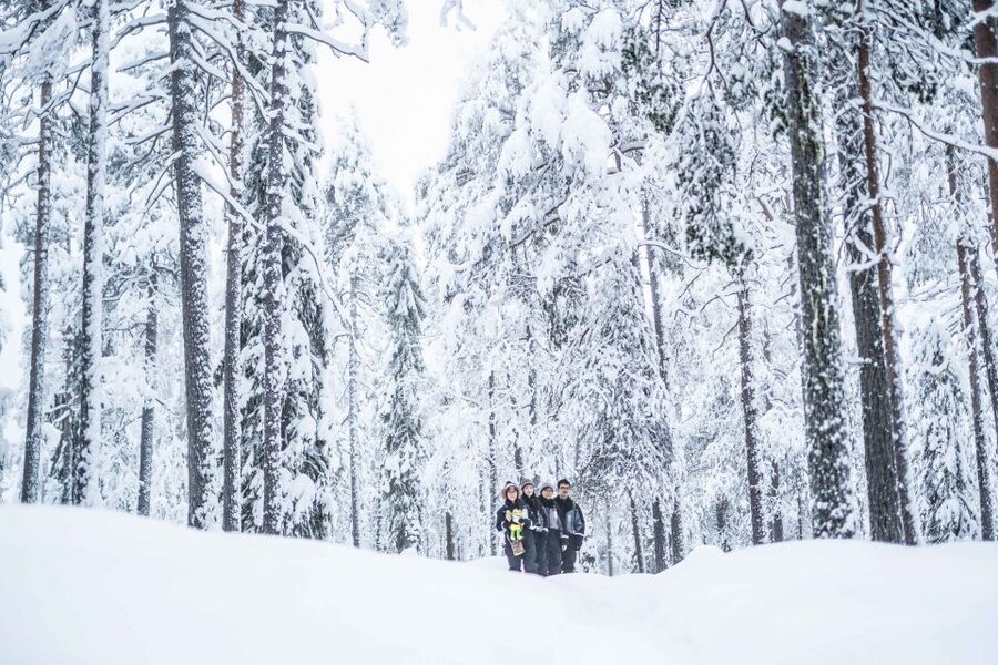 Rovaniemi: Nordic Forest Wilderness Adventure - Practical details before you go