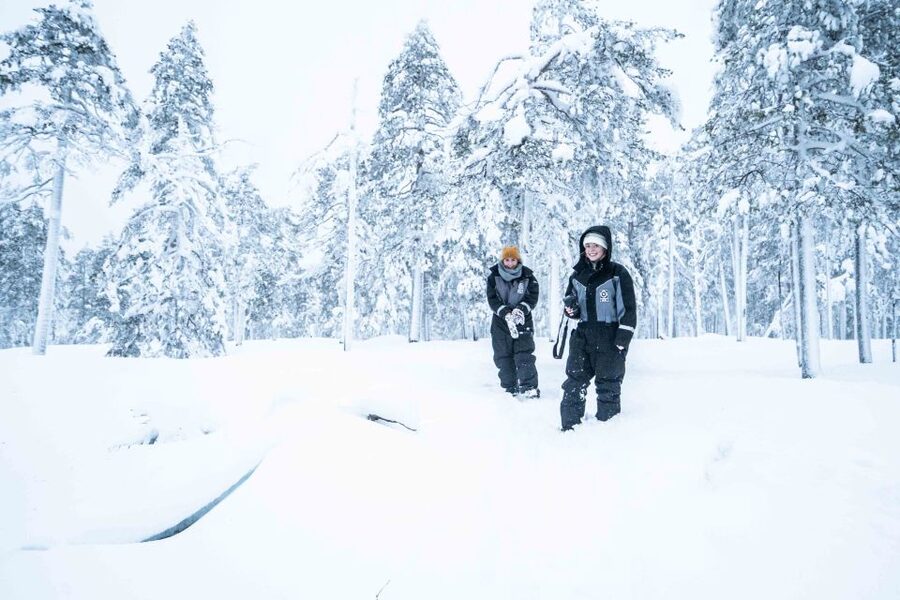 Rovaniemi: Nordic Forest Wilderness Adventure - Why this half-day trip is worth your time