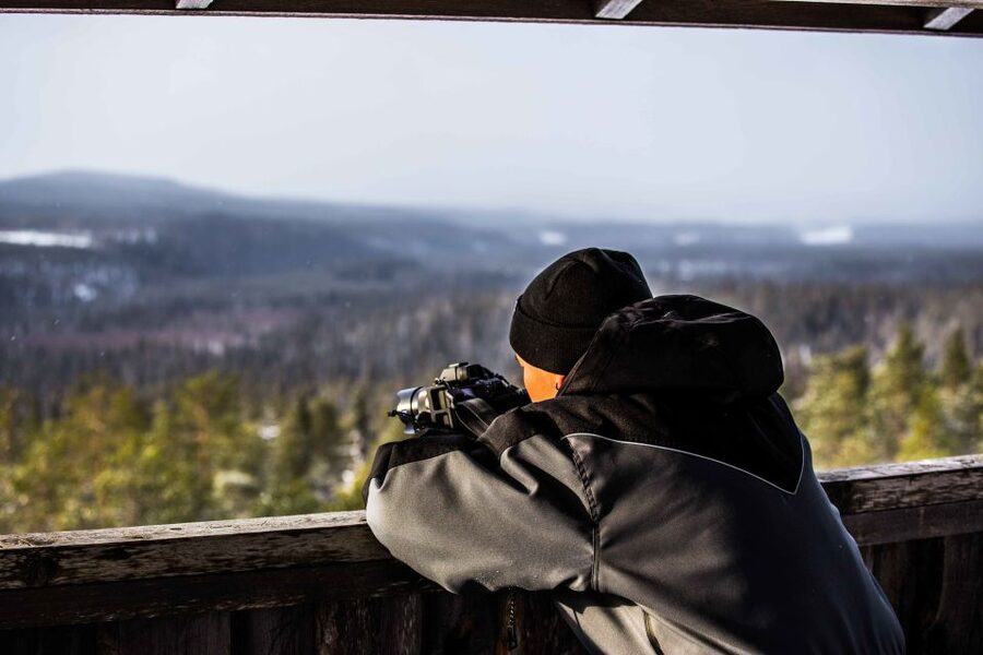 Rovaniemi: Nordic Forest Wilderness Adventure - A photographer-guide changes the way you see the walk