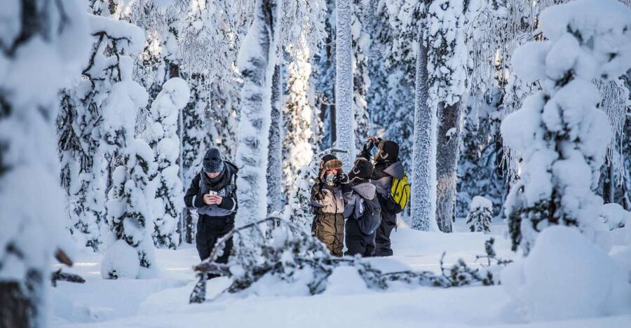 Rovaniemi: Nordic Forest Wilderness Adventure - What is included for comfort