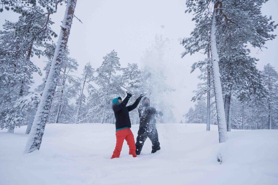 Rovaniemi: Nordic Forest Wilderness Adventure - From Rovaniemi to Vikaköngäs