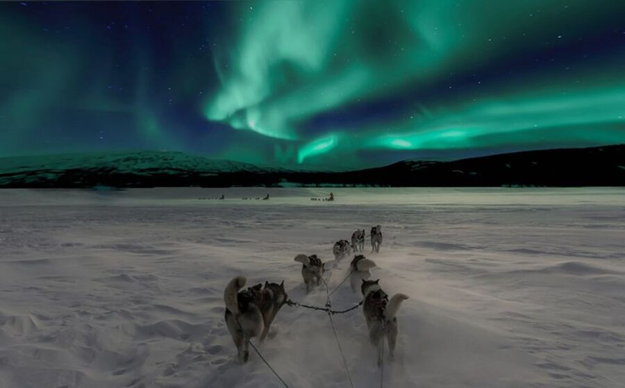 Rovaniemi: Northern Lights and Husky Sleigh Ride - Meeting the huskies outside Rovaniemi