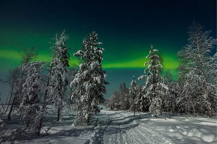 Rovaniemi: Northern Lights and Husky Sleigh Ride - A winter night under stars and aurora