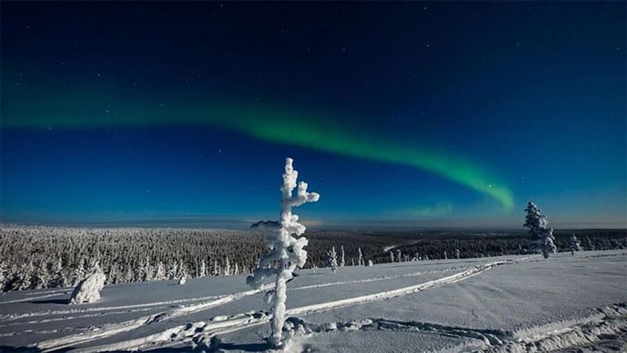 Rovaniemi: Northern Lights and Husky Sleigh Ride - Clothing, comfort, and the cold