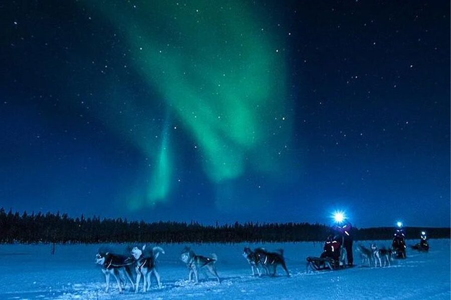 Rovaniemi: Northern Lights and Husky Sleigh Ride - How the price compares with the actual experience