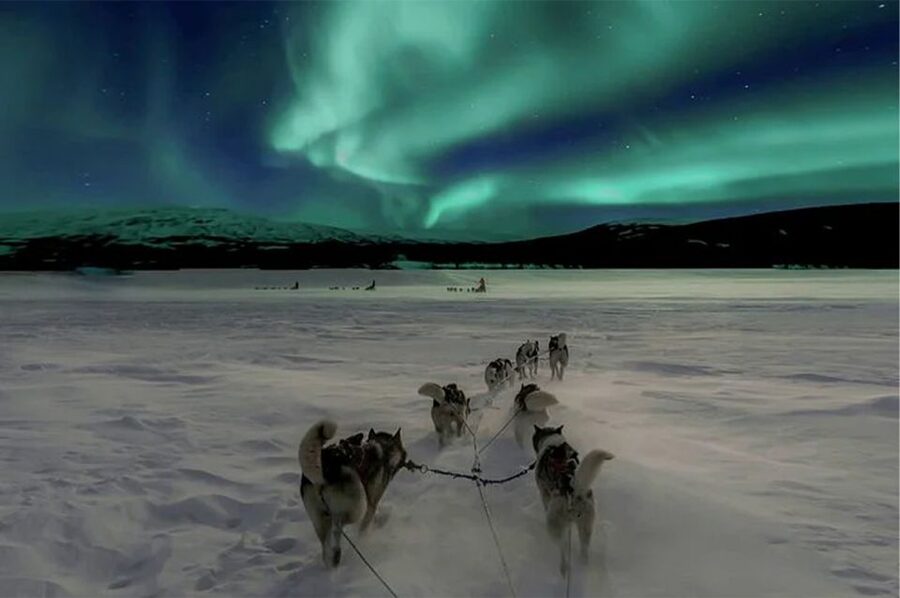 Rovaniemi: Northern Lights and Husky Sleigh Ride - What the 5-kilometer sleigh ride is really like