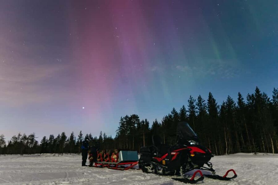 Rovaniemi: Northern Lights Family-Friendly Snowmobile Safari - Key points at a glance