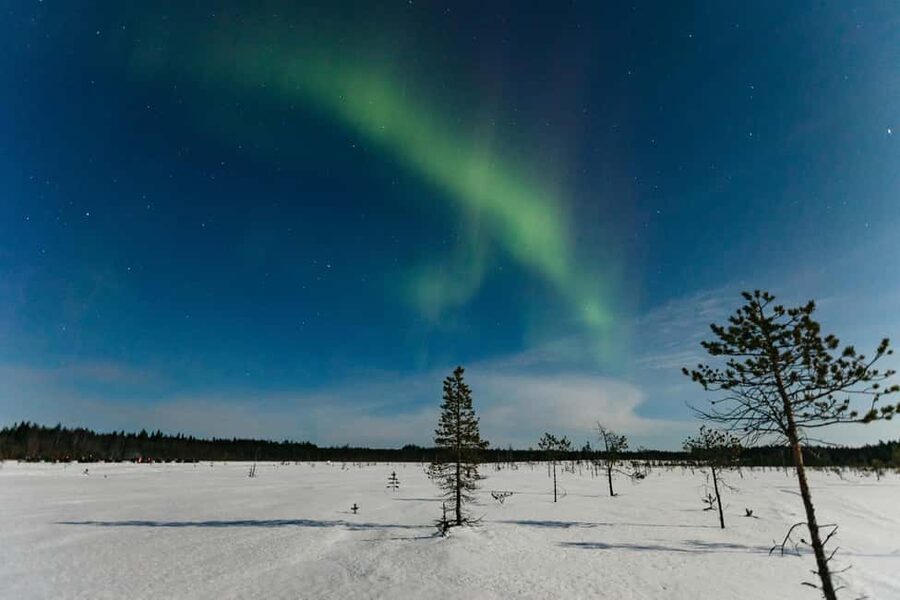 Rovaniemi: Northern Lights Family-Friendly Snowmobile Safari - A gentle introduction to Lapland by snowmobile