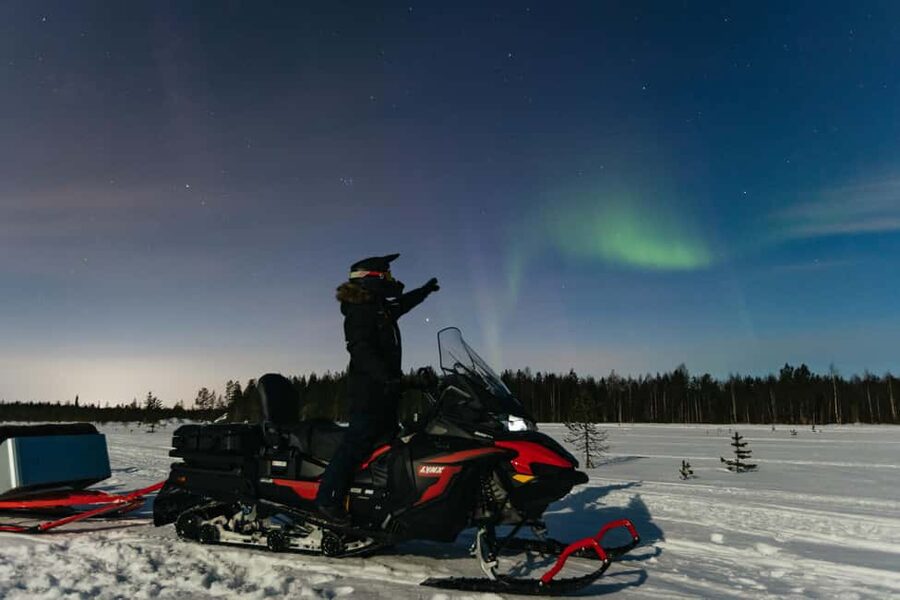 Rovaniemi: Northern Lights Family-Friendly Snowmobile Safari - The child’s view from the sleigh