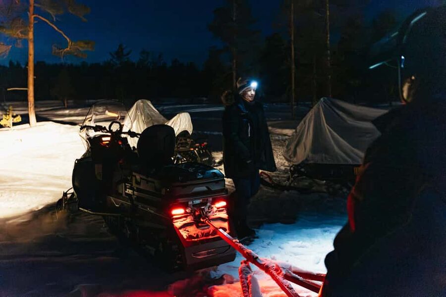 Rovaniemi: Northern Lights Family-Friendly Snowmobile Safari - Price, sharing, and financial responsibility