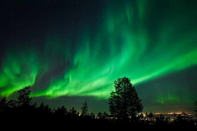 Rovaniemi: Northern Lights Group Tour - Guaranteed View - Campfires, hot juice, and cold-weather comfort