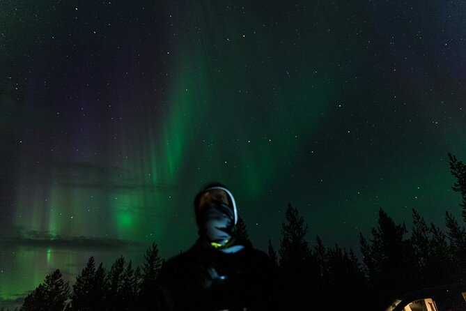 Rovaniemi: Northern lights money back tour - Practical details before you go
