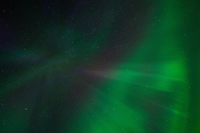 Rovaniemi: Northern lights money back tour - A small group with a personal feel