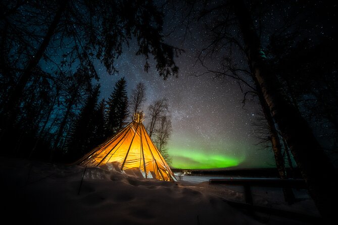 Rovaniemi Northern Lights Photography Small-Group Tour - Who should book this tour?