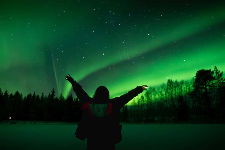 Rovaniemi: Northern Lights Photography Tour & BBQ - Key points to know before booking