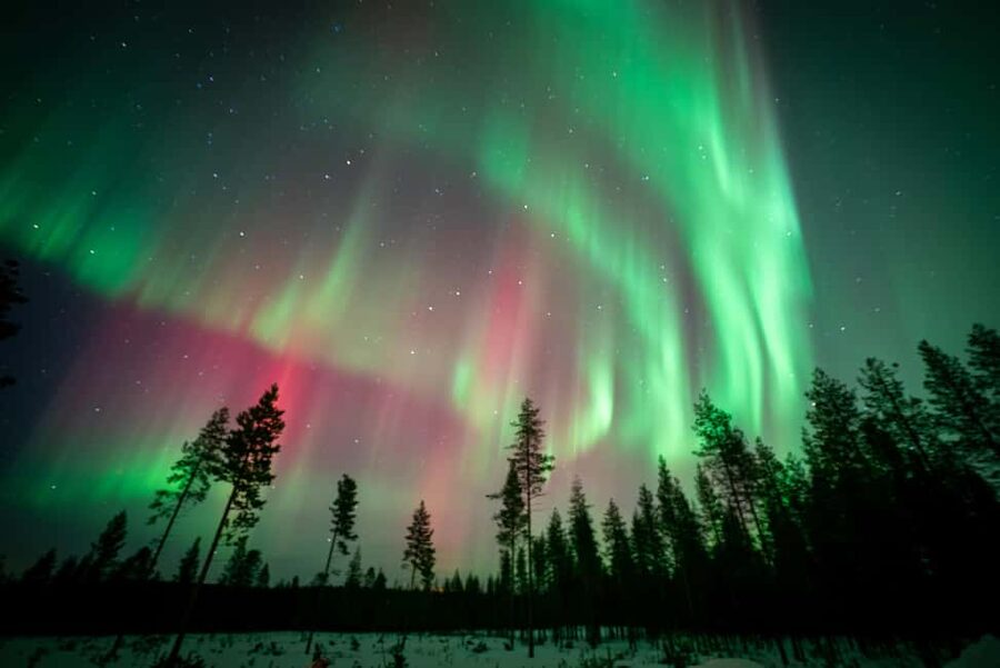 Rovaniemi: Northern Lights Photography Tour & BBQ - Should you book this Rovaniemi aurora tour?
