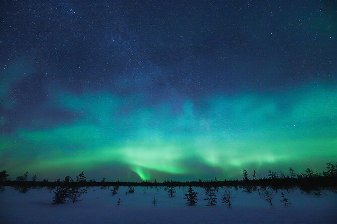 Rovaniemi: Northern Lights Pro Guaranteed - Unlimited Distance - Frozen lakes, quiet roads, and the waiting game