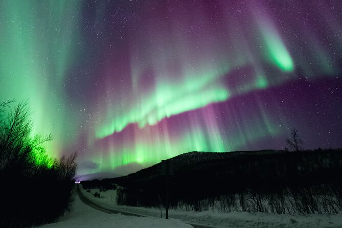 Rovaniemi: Northern Lights Pro Guaranteed - Unlimited (PRIVATE) - Chasing the aurora beyond Rovaniemi