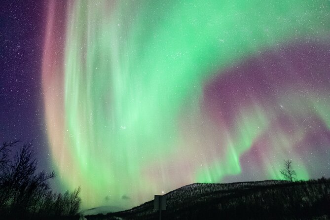 Rovaniemi: Northern Lights Pro Guaranteed - Unlimited (PRIVATE) - What happens during the evening