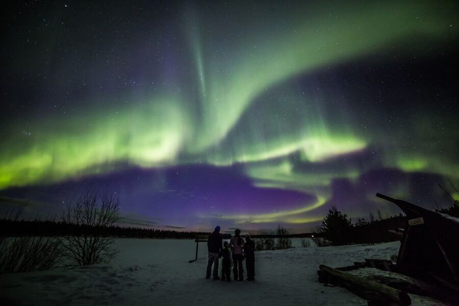 Rovaniemi: Northern Lights Sledge Ride - A quiet ride into Rovaniemi’s winter forest