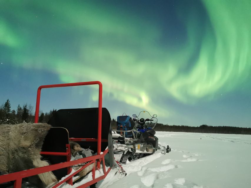 Rovaniemi: Northern Lights Sledge Ride - Warm gear helps, but your own layers still matter