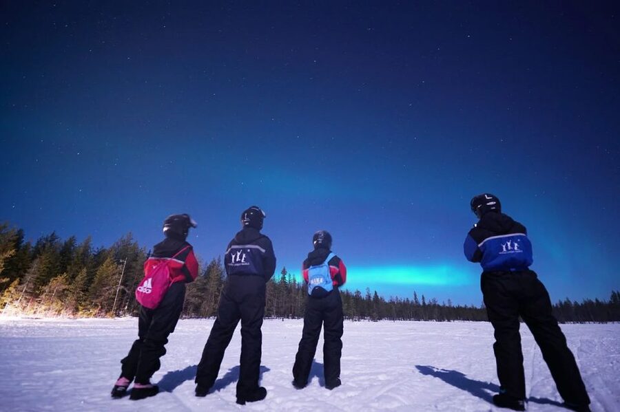 Rovaniemi: Northern Lights Sleigh Ride - A practical plan for the evening