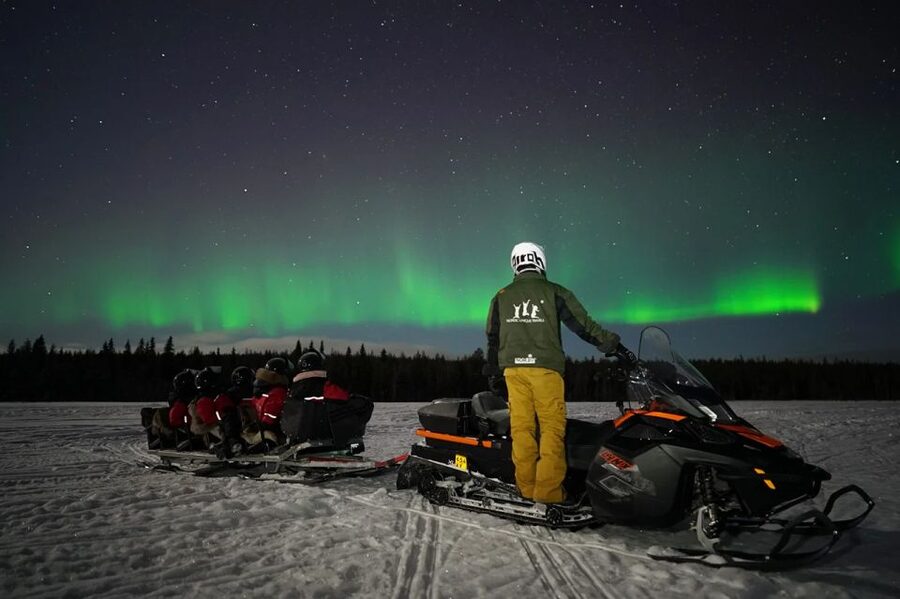 Rovaniemi: Northern Lights Sleigh Ride - Should you book the Northern Lights Sleigh Ride?
