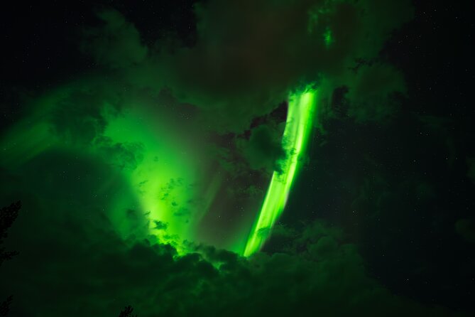 Rovaniemi: Northern Lights Small Group Money-Back Guarantee - Key points to know before you book
