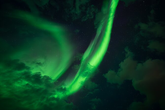 Rovaniemi: Northern Lights Small Group Money-Back Guarantee - Price, value, and the guarantee question